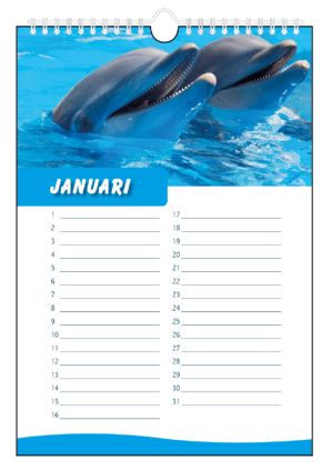 dolfijnen verjaardagskalender