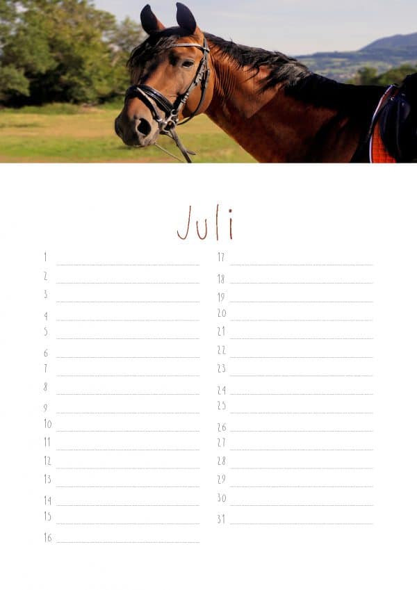 Paarden verjaardagskalender