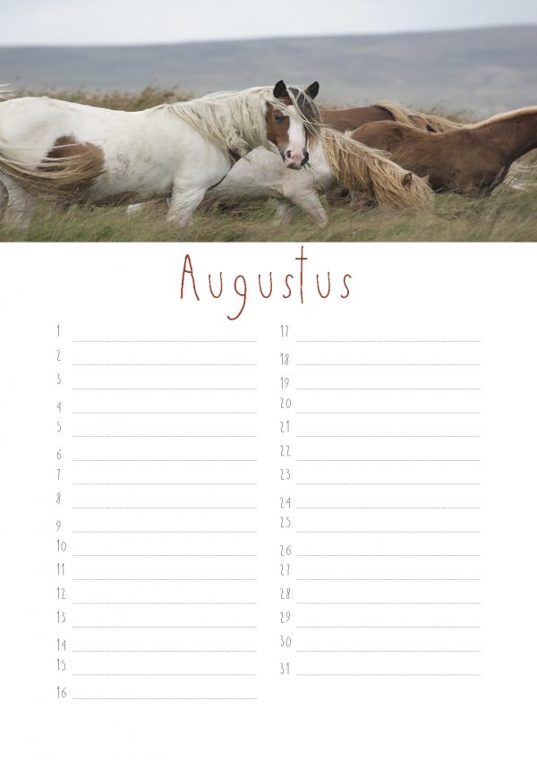 Paarden verjaardagskalender